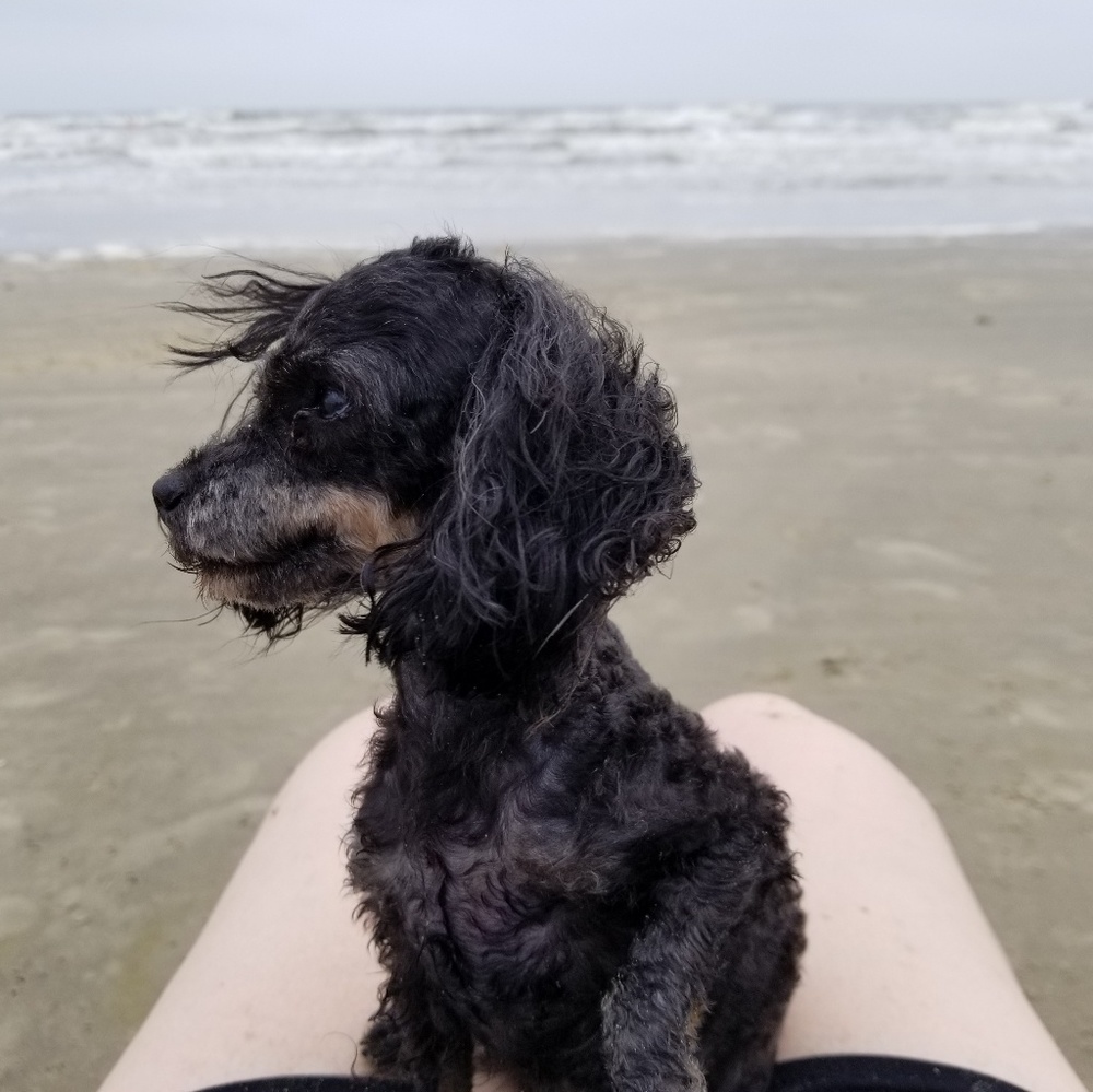 Meet your Posher, Chrystal